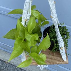 Macrame With Wood Plant Holder