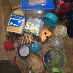 Rat Mose  Pet Supplies 