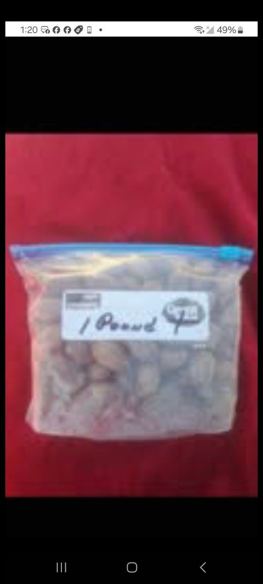 FRESH ORGANIC PECANS