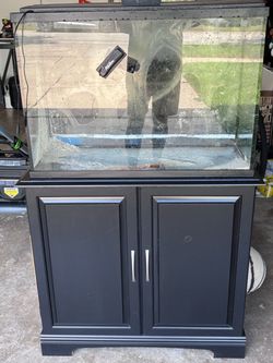 29 gallon fish tank and stand