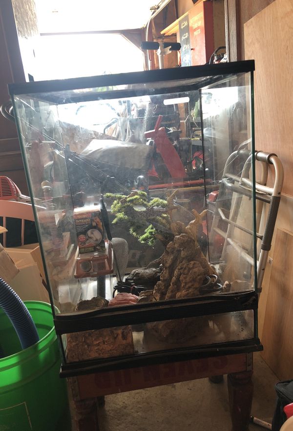 Lizard tank with stuff inside for Sale in Roselle, IL OfferUp