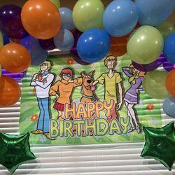 Scooby Doo Backdrop Only Read Description 