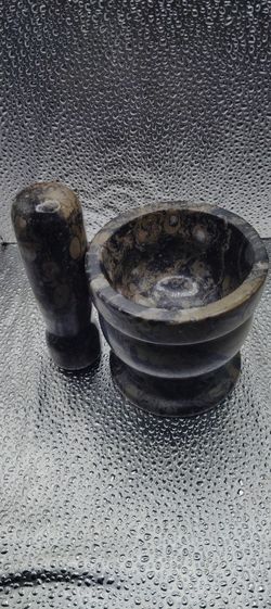 Mortar And Pestle Orthoceras 