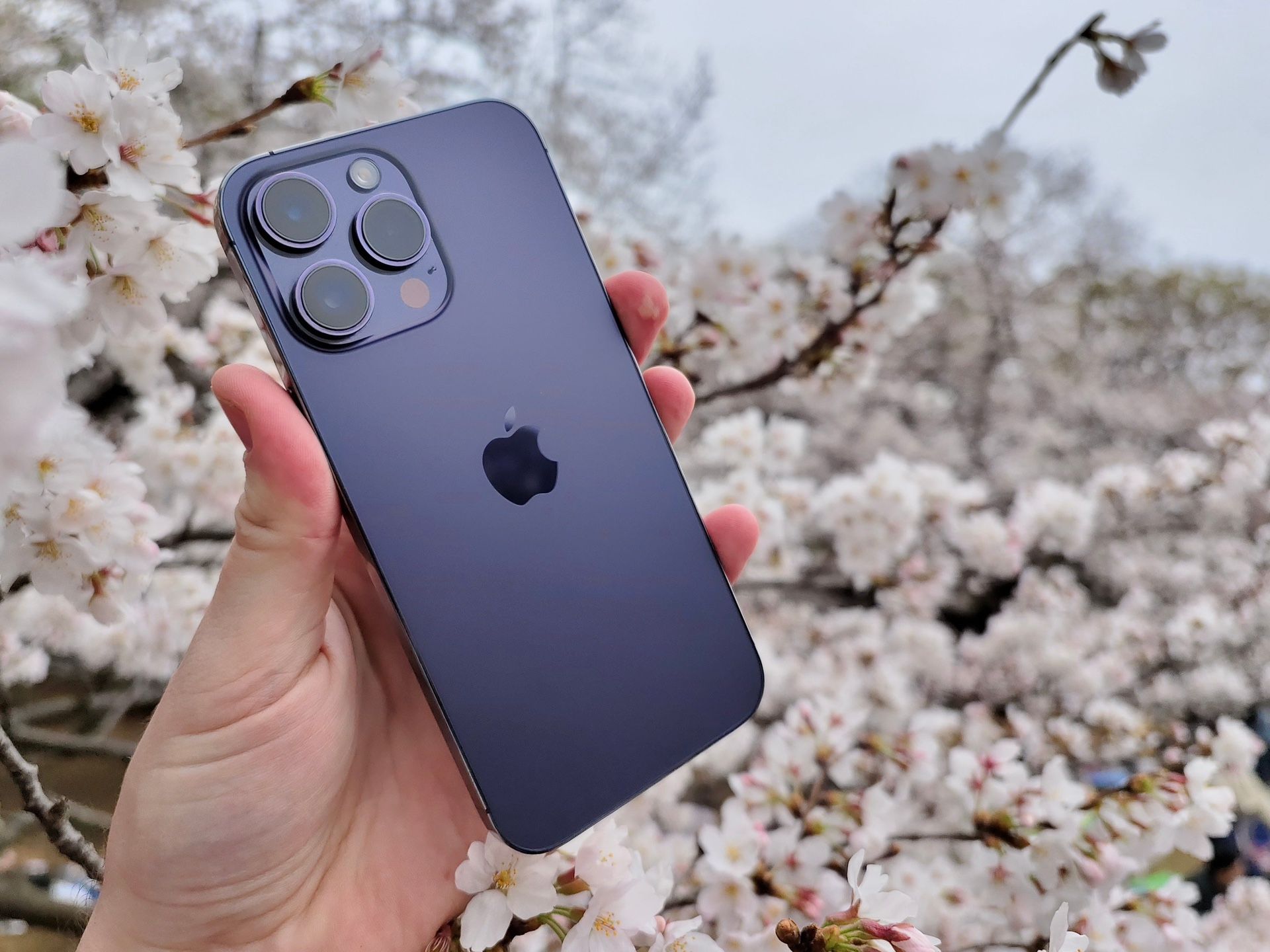 iPhone 14 Pro Max With TikTok  3000