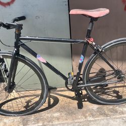 State Cycle Fixie