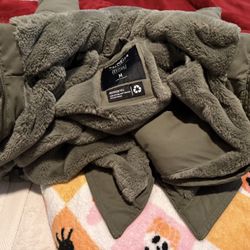 Hollister Green Winter Coat 