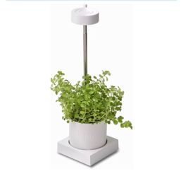 HYDROPONICS & GROW LIGHT SYSTEM