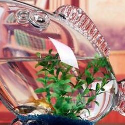 “NEW” CLEAR GLASS LARGE FISH SHAPE BOWL ART PIECE 