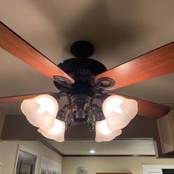 Ceiling Fan & Light