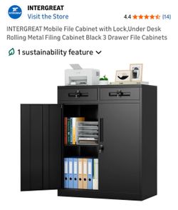Cabinet with 2 drawers with locks. New in box.