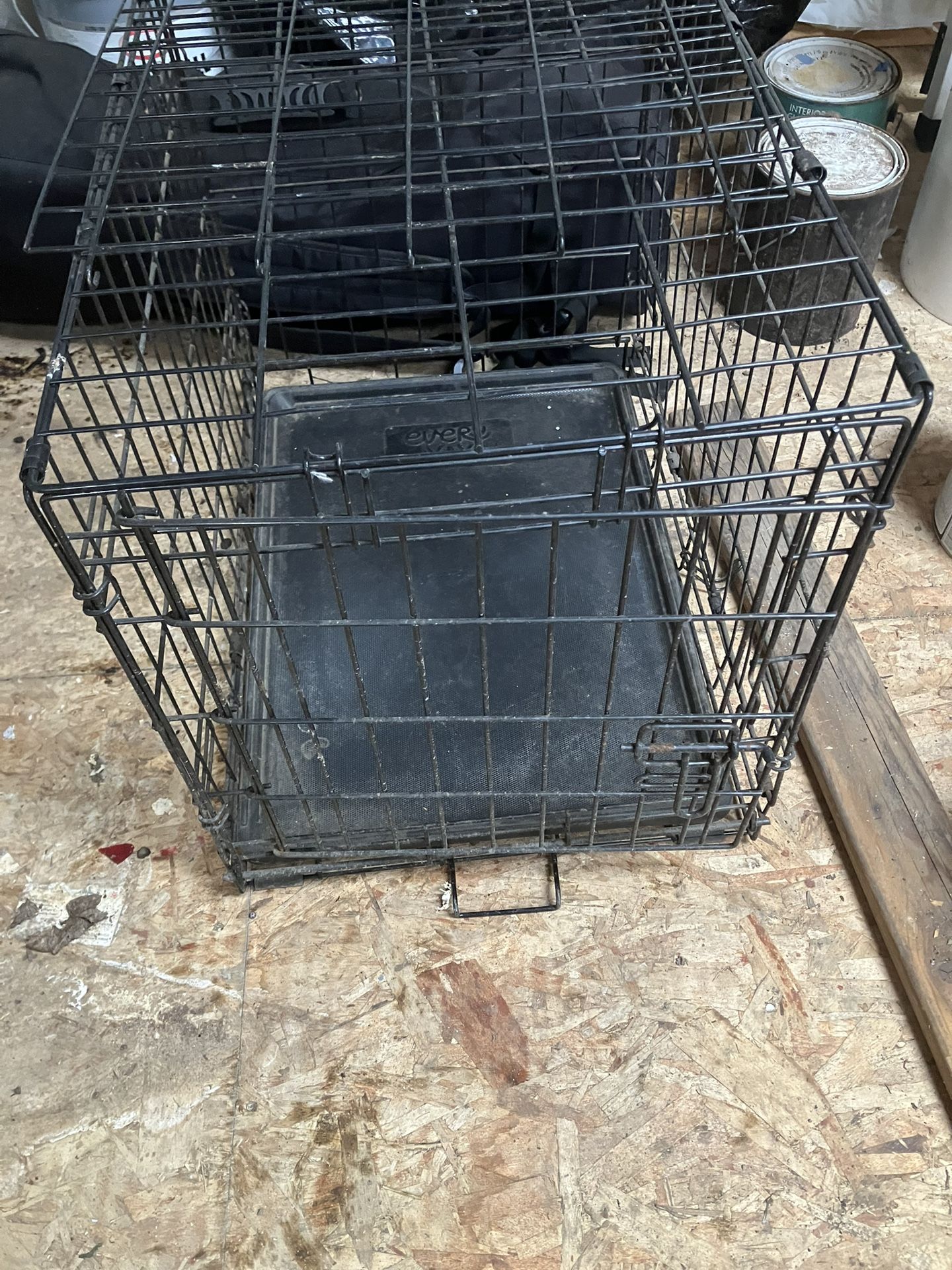 Dog House