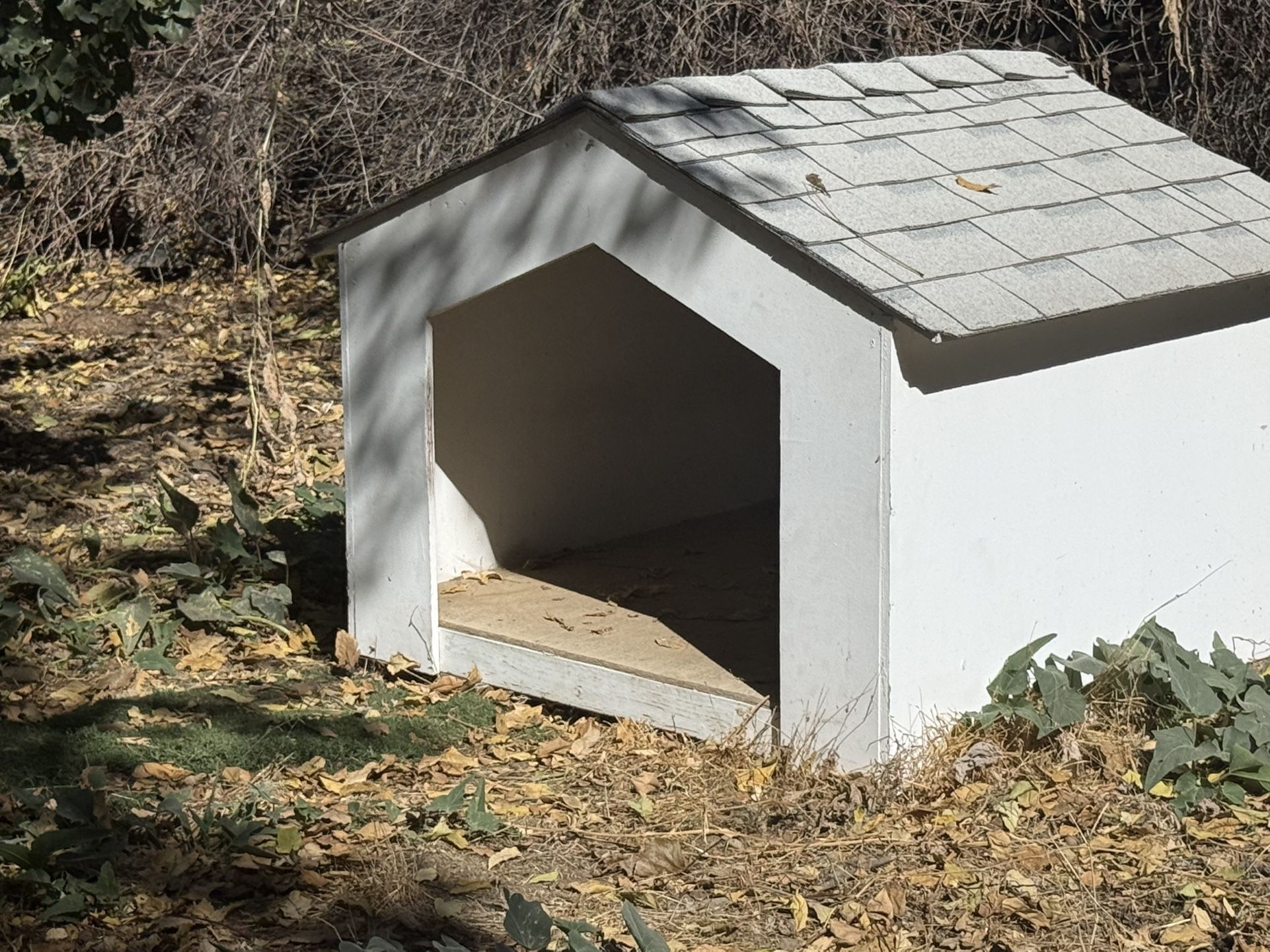 Dog House