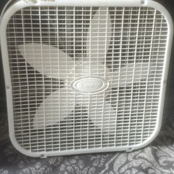 Large Mirror  And Fan