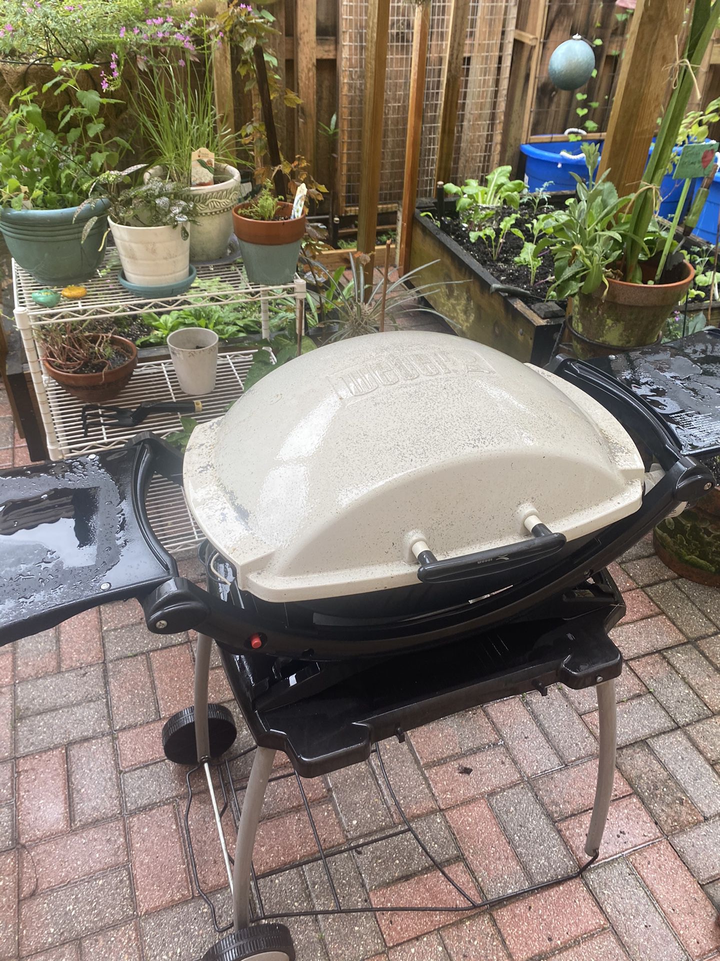 Weber Q-200 Gas Grill with Portable Stand