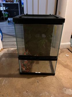 Terrarium