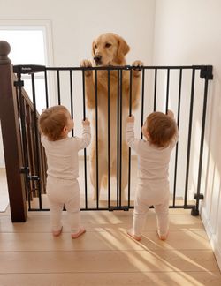 Babelio Baby, Child & Dog Gate