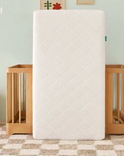 Newton Crib Mattress