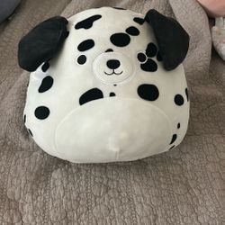 Med size squishmallow 