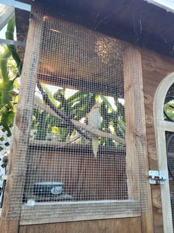 Large cage and accessories for sale