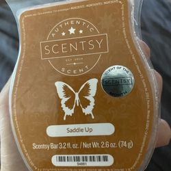 Scentsy Bar 