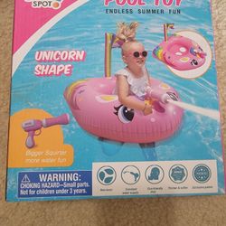 Swimming Pool Toy