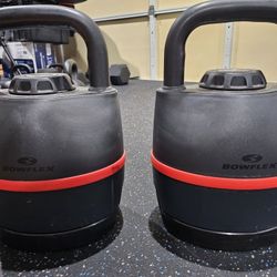 2 Bowflex 840 Adjustable Kettlebell 