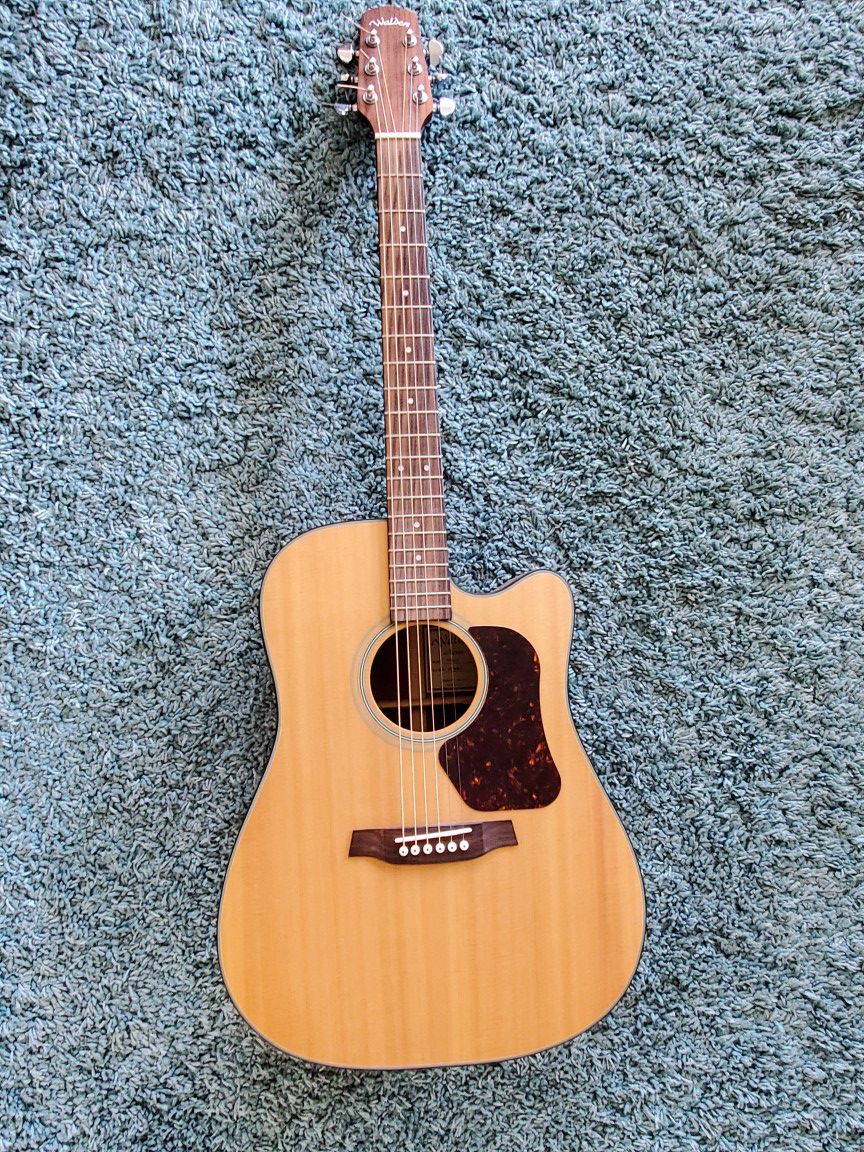 Walden Acoustic Guitar (D550CE)