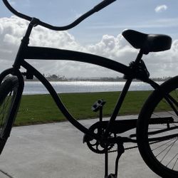 Black Beach Cruiser 