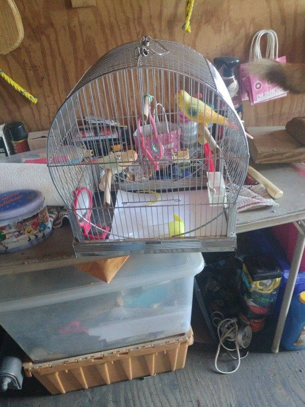 Parakeet Cage