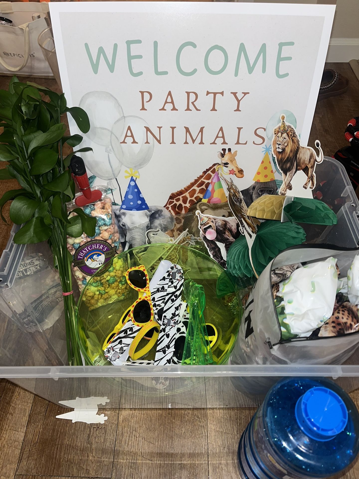 Animal Theme Party Supplies