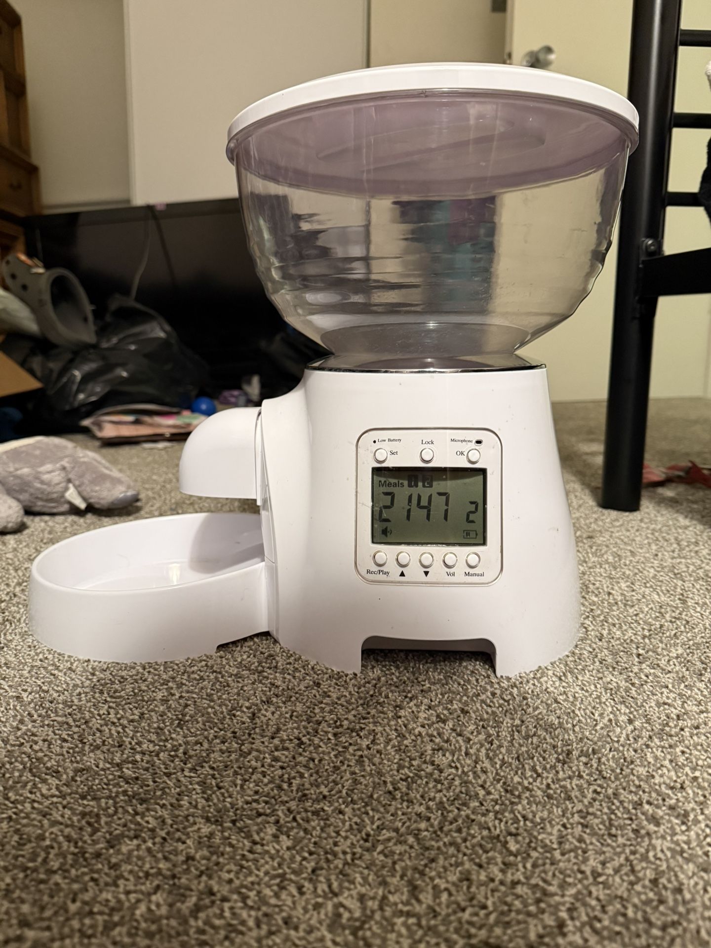 automatic cat feeder
