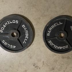 Two 45 Lb Plates 