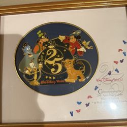 Vintage Walt Disney World 25th Anniversary Magic Kingdom Pin Set 1971-96 Framed