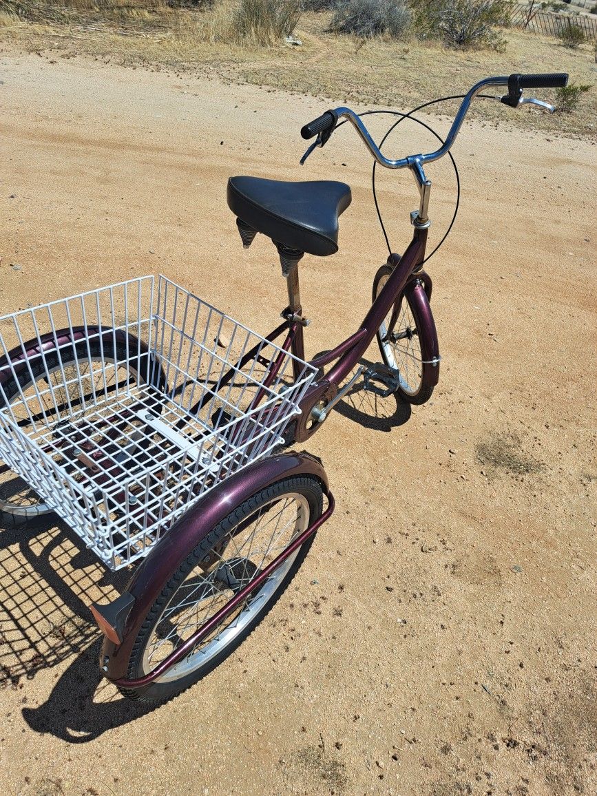 ADULT TRICYCLE GOOD WORKING CONDITION 
