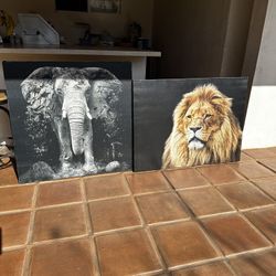 ANIMAL CANVAS PORTRAIT