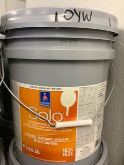 Exterior/Interior Premium Paint (Oyster White)