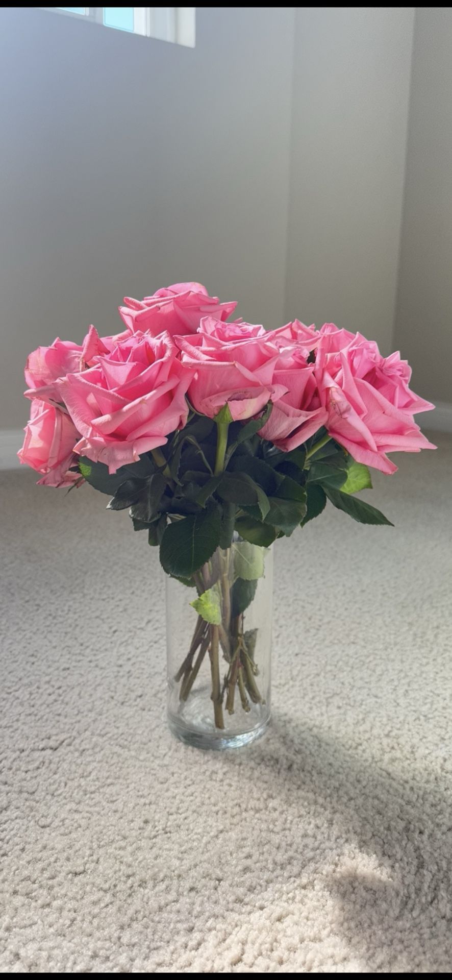 Clear Cylinder Glass Flower Vase — Excellent condition! 