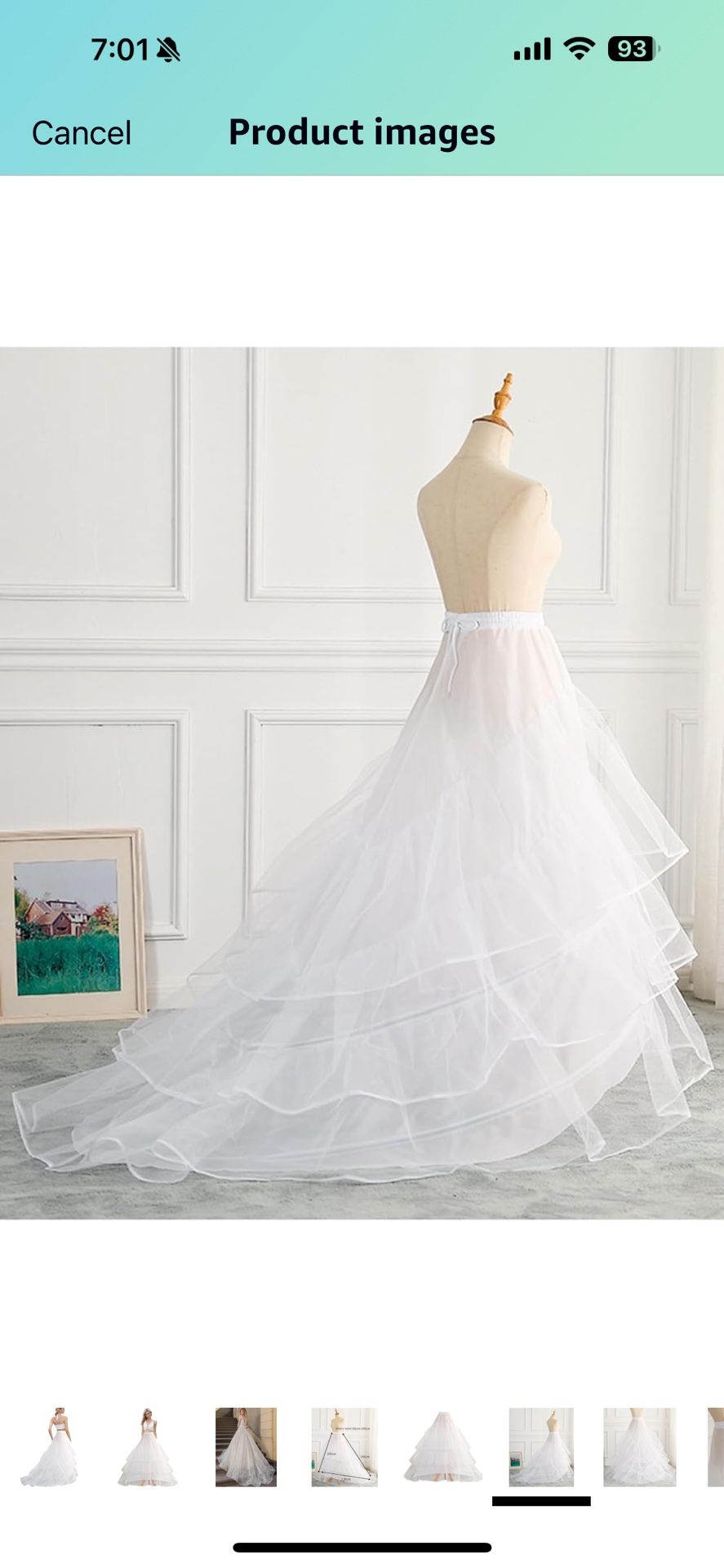 Train Style Petticoat