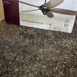 Ceiling Fan