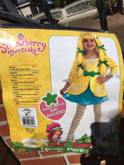 Strawberry shortcake size 4-6 new