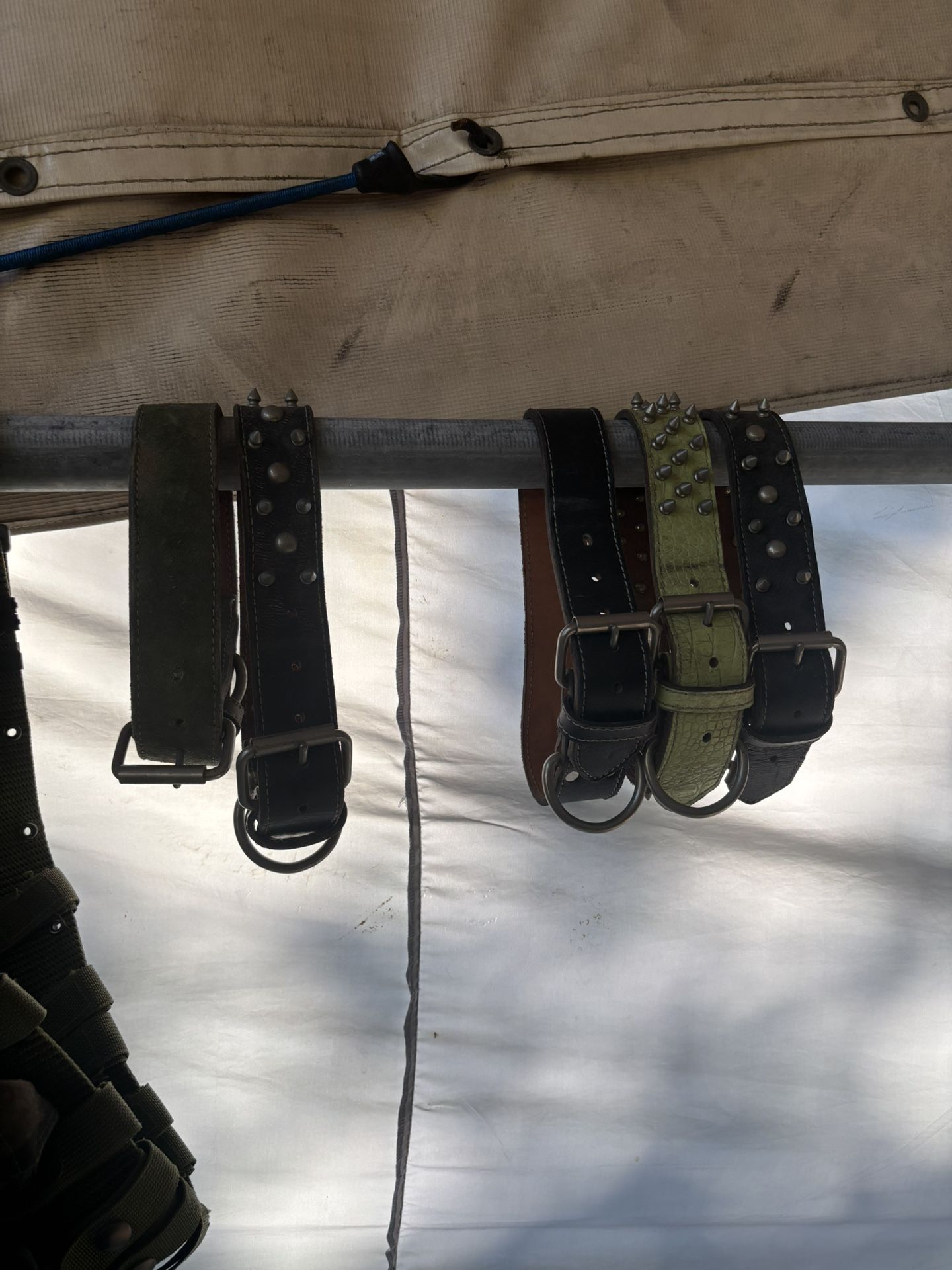 Dog Collar