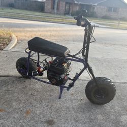 212 stretch doodle bug