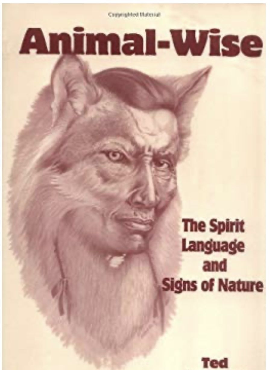 Animal-Wise The Spirit Language and Signs of Nature by Ted Andrews