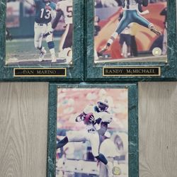 Miami Dolphins Wall Plaques