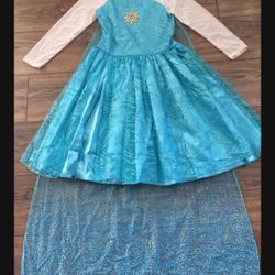Frozen Elsa Anna Princess Dress Costumes