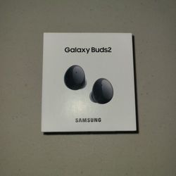 Galaxy Buds2