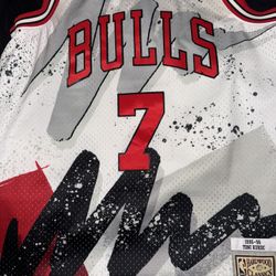 Mitchell & Ness Kukoc Jersey (L)
