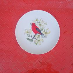 collector plate