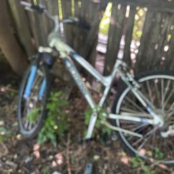 Schwinn Bike 