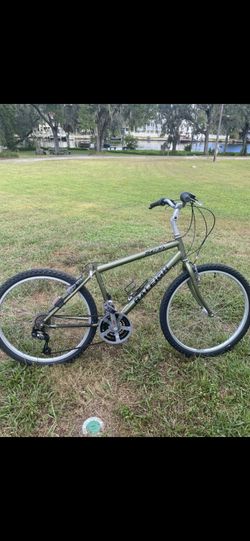 Mens Bicycle Raleigh SC30 comfort utility bike